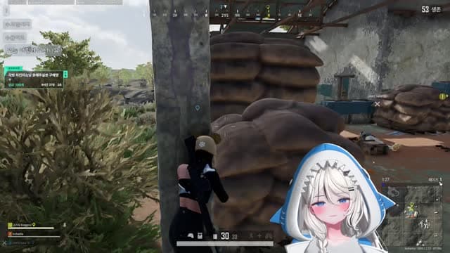 [클립] 견착으로만 2킬하는 찬하