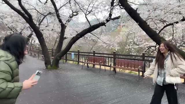 [클립]비상입니다.w,.배그나 숨마 언재